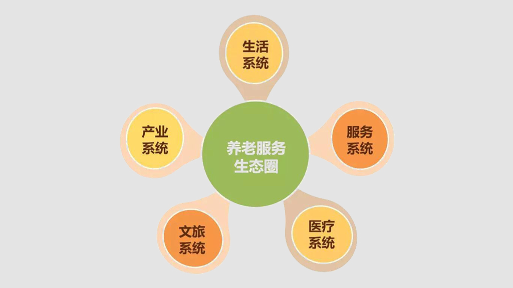 打造養(yǎng)老數(shù)字化平臺(tái) 賦能養(yǎng)老行業(yè)規(guī)?；l(fā)展(圖10)