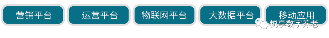 悅享數(shù)字 | 數(shù)字驅(qū)動(dòng)健康 智慧賦能養(yǎng)老(圖3)